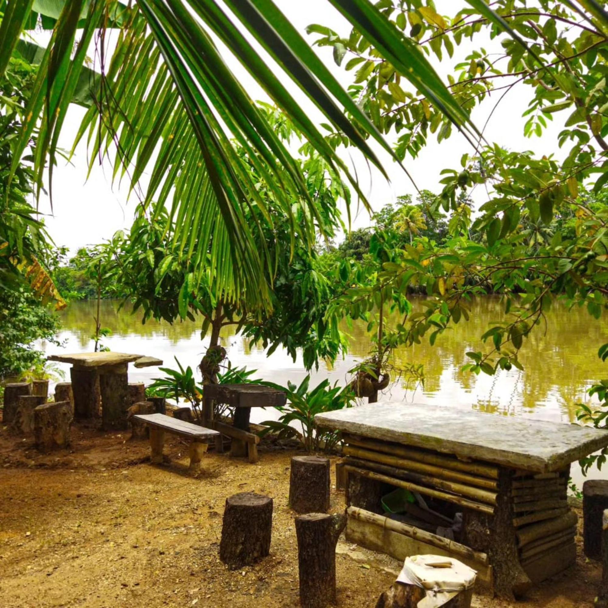 Kosi Giggles Resort Weligama Eksteriør bilde